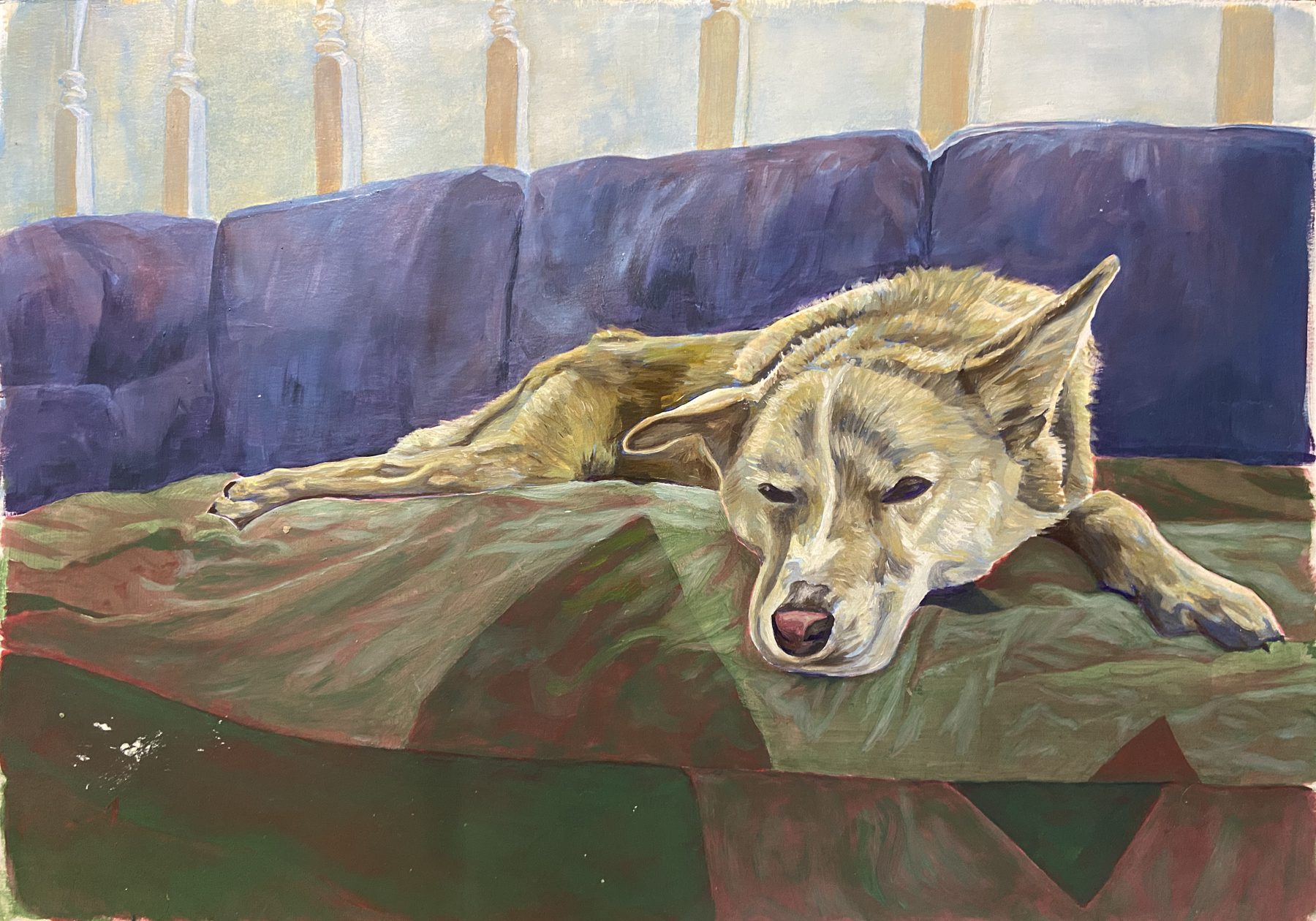 Sleeping Dog